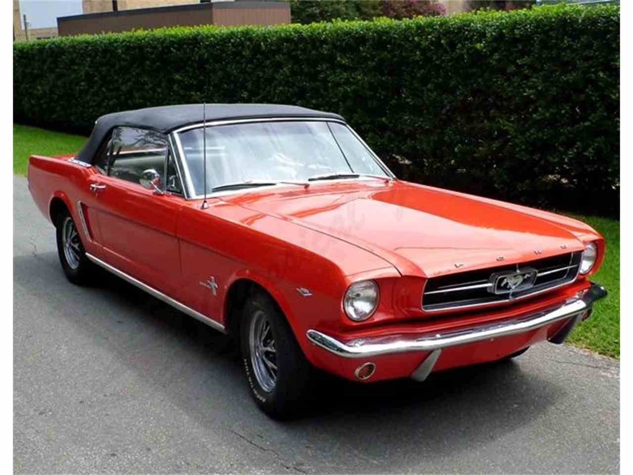 1964 Ford Mustang for Sale CC999287